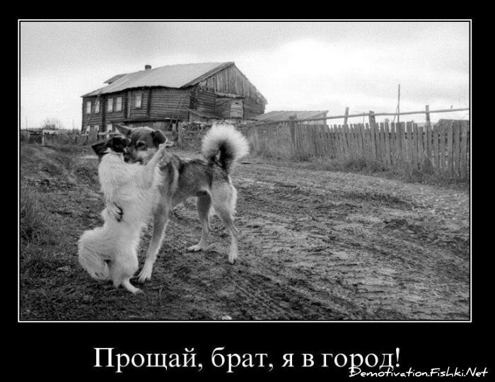 Смешной демотиватор от zubrilov за 02.03.2011 №69931