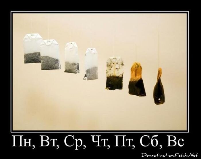 Смешной демотиватор от zubrilov за 02.03.2011 №69934