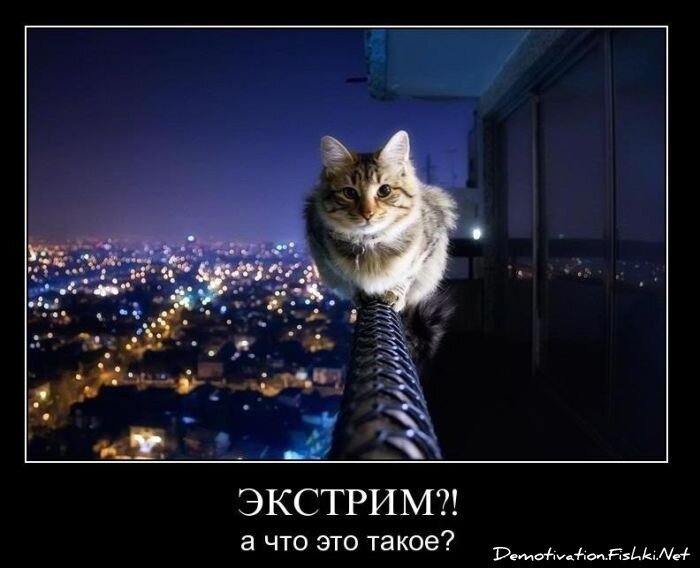 Смешной демотиватор от zubrilov за 02.03.2011 №69937