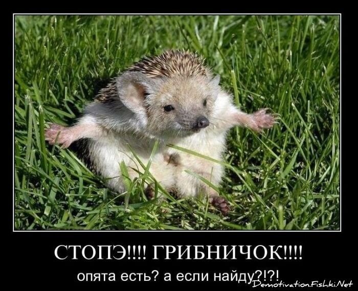 Смешной демотиватор от zubrilov за 02.03.2011 №69939