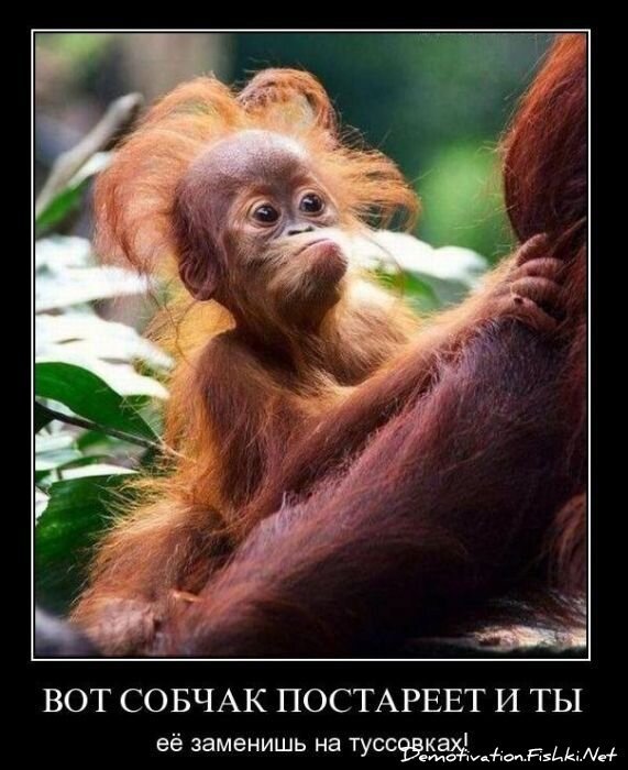 Смешной демотиватор от zubrilov за 02.03.2011 №69942