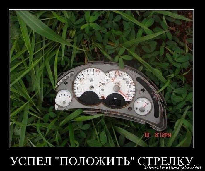 Смешной демотиватор от zubrilov за 02.03.2011 №69946