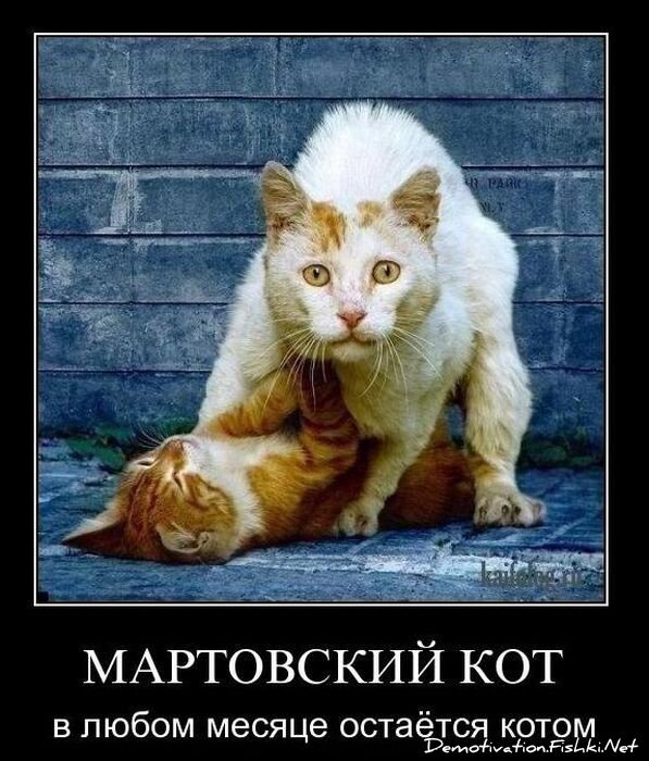 Смешной демотиватор от zubrilov за 02.03.2011 №69956