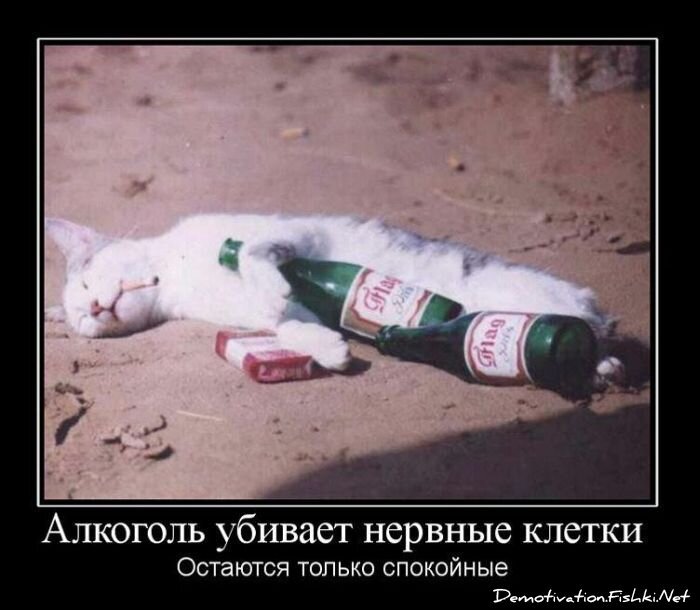 Смешной демотиватор от zubrilov за 02.03.2011 №69968