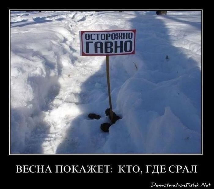 Смешной демотиватор от zubrilov за 02.03.2011 №69975