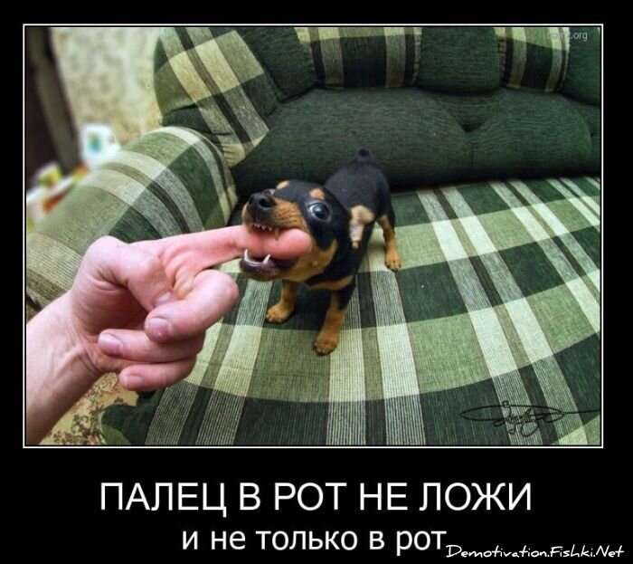 Смешной демотиватор от zubrilov за 02.03.2011 №69979