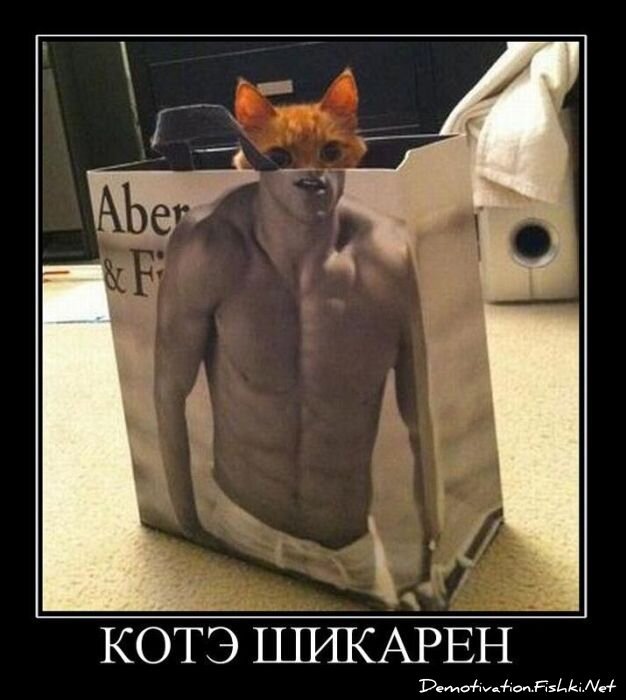 Смешной демотиватор от zubrilov за 02.03.2011 №69984