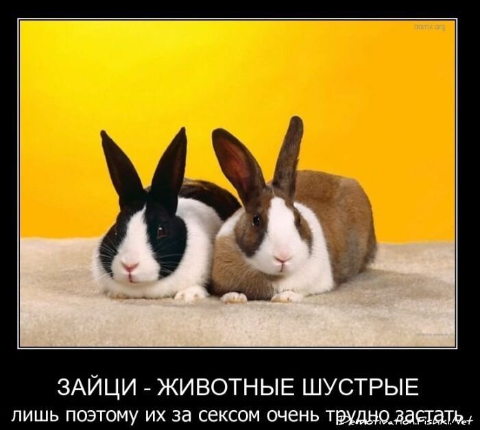 Смешной демотиватор от zubrilov за 02.03.2011 №69986