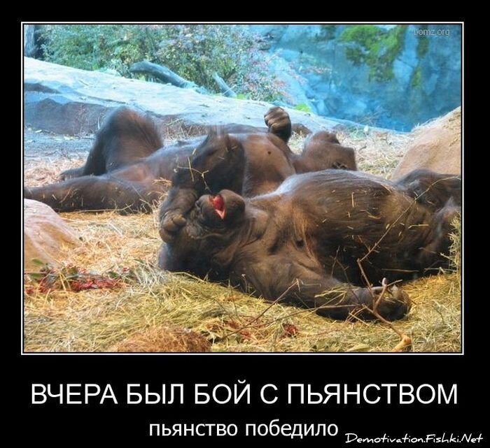 Смешной демотиватор от zubrilov за 02.03.2011 №69998