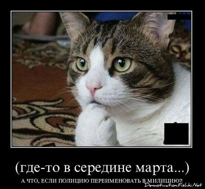 Смешной демотиватор от zubrilov за 02.03.2011 №70003