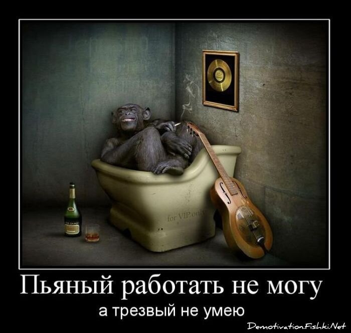 Смешной демотиватор от zubrilov за 02.03.2011 №70012