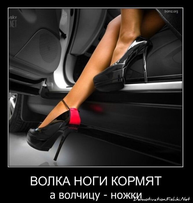 Смешной демотиватор от zubrilov за 02.03.2011 №70015