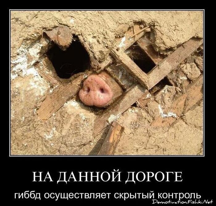 Смешной демотиватор от zubrilov за 02.03.2011 №70016