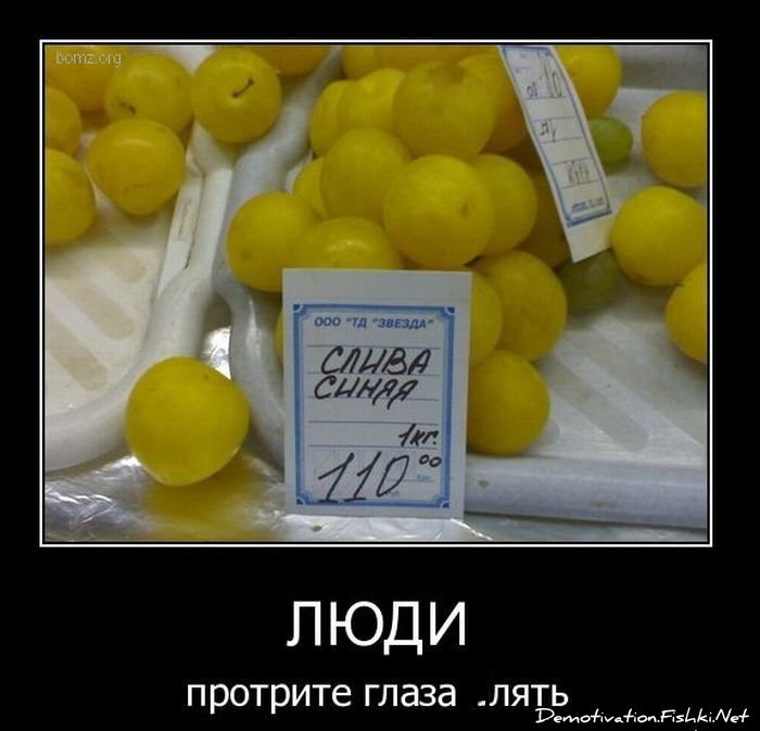 Смешной демотиватор от zubrilov за 02.03.2011 №70020