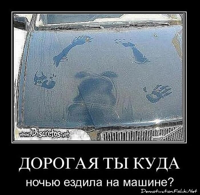 Смешной демотиватор от zubrilov за 02.03.2011 №70023