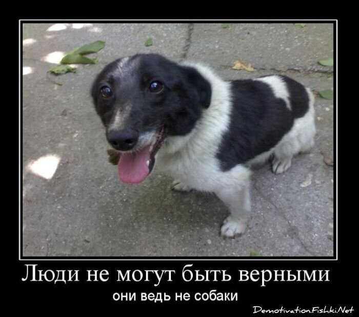 Смешной демотиватор от zubrilov за 05.03.2011 №70370