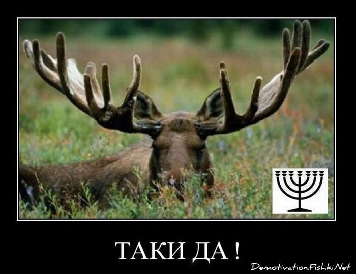 Смешной демотиватор от zubrilov за 05.03.2011 №70379