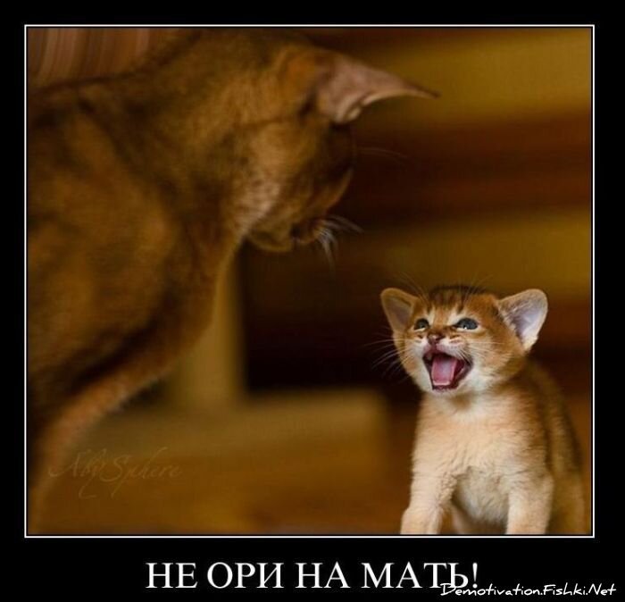 Смешной демотиватор от zubrilov за 05.03.2011 №70388
