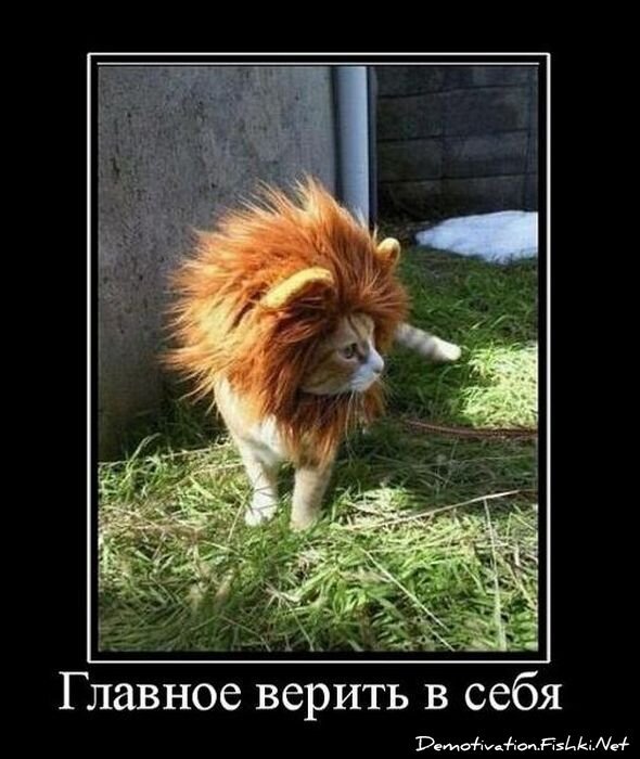 Смешной демотиватор от zubrilov за 05.03.2011 №70394