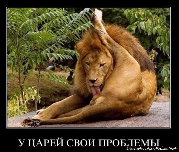 Смешной демотиватор от zubrilov за 05.03.2011 №70403