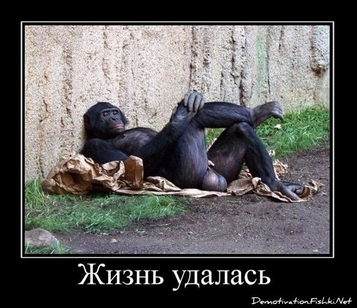 Смешной демотиватор от zubrilov за 05.03.2011 №70411