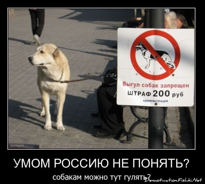 Смешной демотиватор от zubrilov за 05.03.2011 №70418