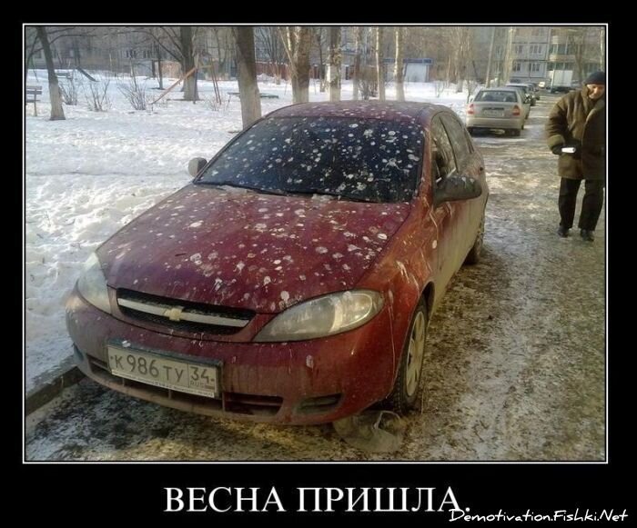 Смешной демотиватор от zubrilov за 05.03.2011 №70423
