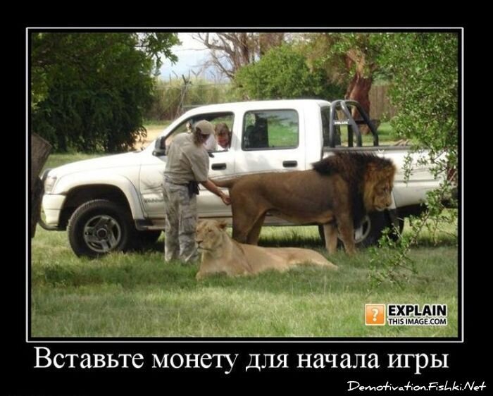 Смешной демотиватор от zubrilov за 11.03.2011 №70770