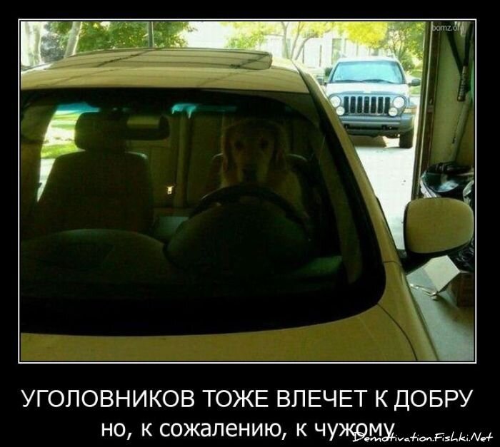 Смешной демотиватор от zubrilov за 11.03.2011 №70773