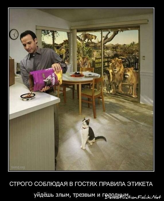 Смешной демотиватор от zubrilov за 11.03.2011 №70775
