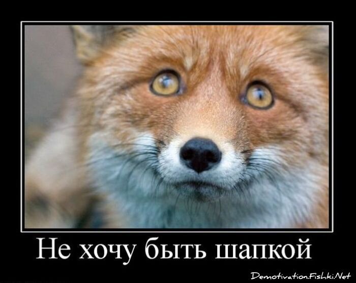 Смешной демотиватор от zubrilov за 11.03.2011 №70780