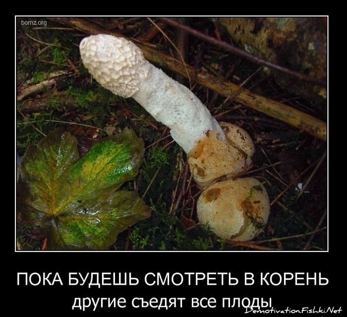 Смешной демотиватор от zubrilov за 11.03.2011 №70782