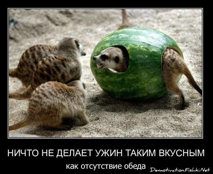 Смешной демотиватор от zubrilov за 11.03.2011 №70794