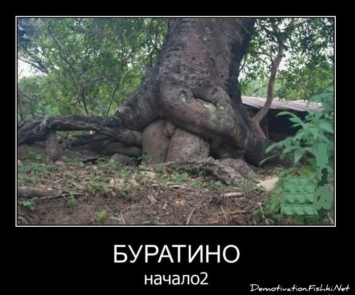Смешной демотиватор от zubrilov за 11.03.2011 №70803
