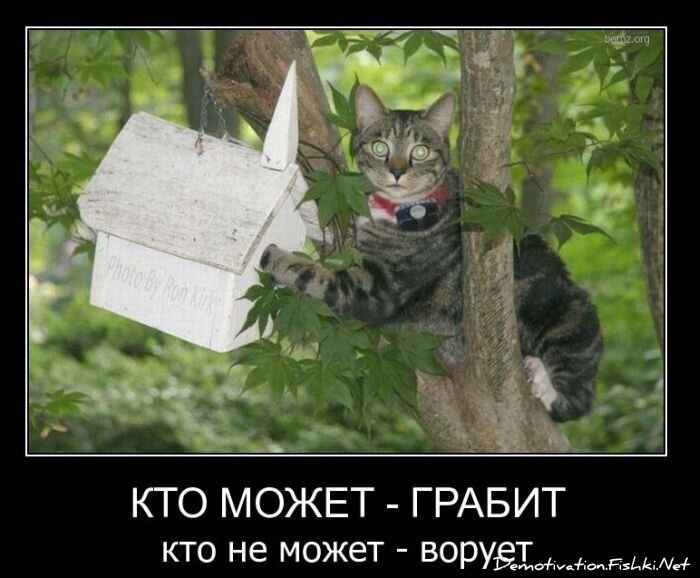 Смешной демотиватор от zubrilov за 11.03.2011 №70807