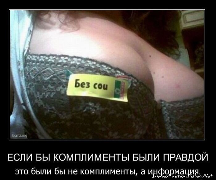 Смешной демотиватор от zubrilov за 11.03.2011 №70808