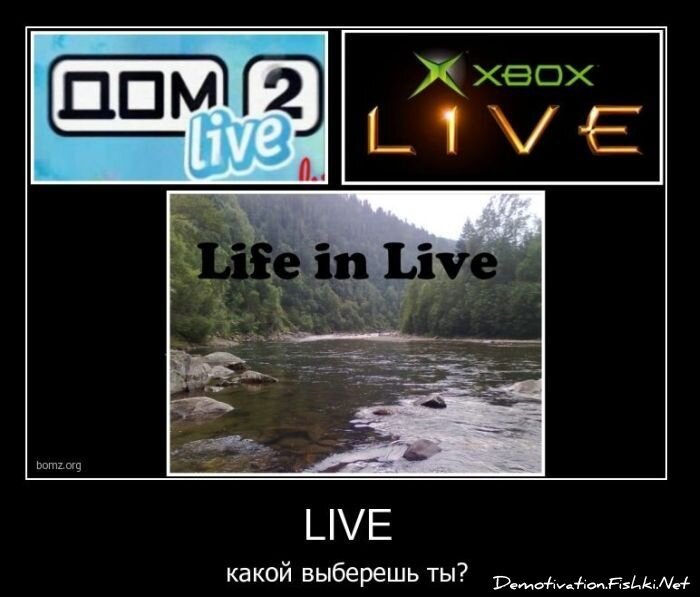 Смешной демотиватор от zubrilov за 11.03.2011 №70809