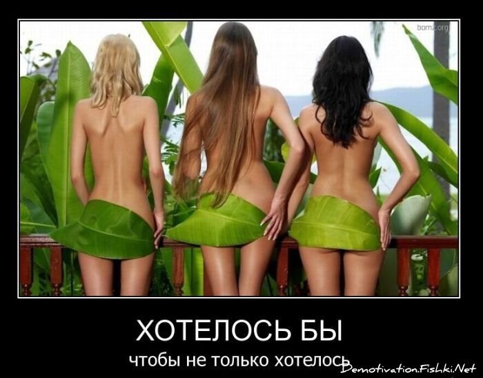 Смешной демотиватор от zubrilov за 11.03.2011 №70814