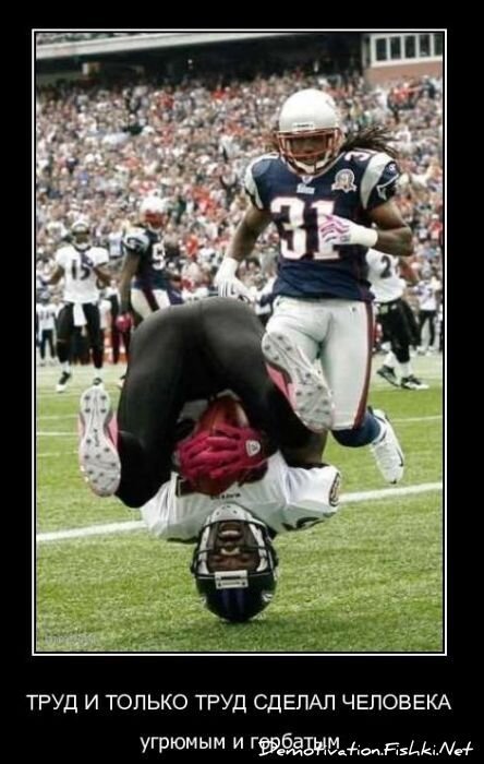 Смешной демотиватор от zubrilov за 11.03.2011 №70822