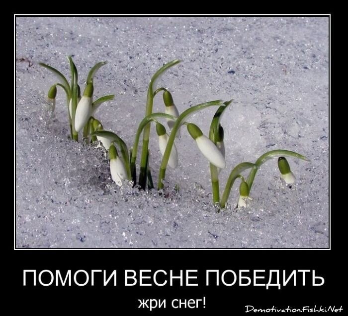 Смешной демотиватор от zubrilov за 11.03.2011 №70824