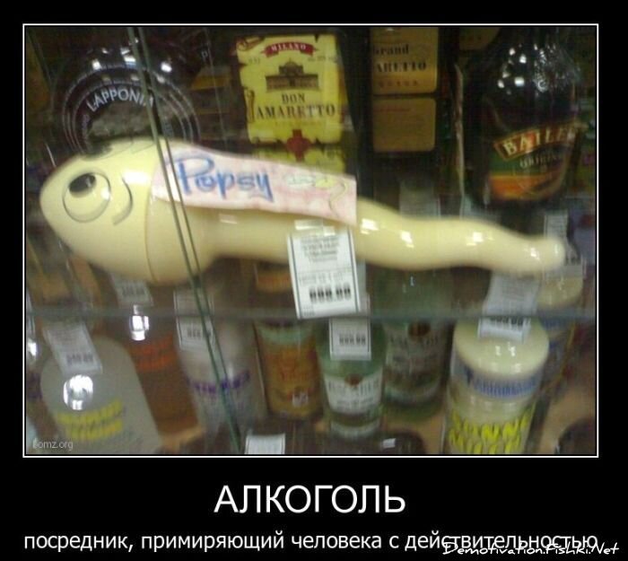 Смешной демотиватор от zubrilov за 11.03.2011 №70825