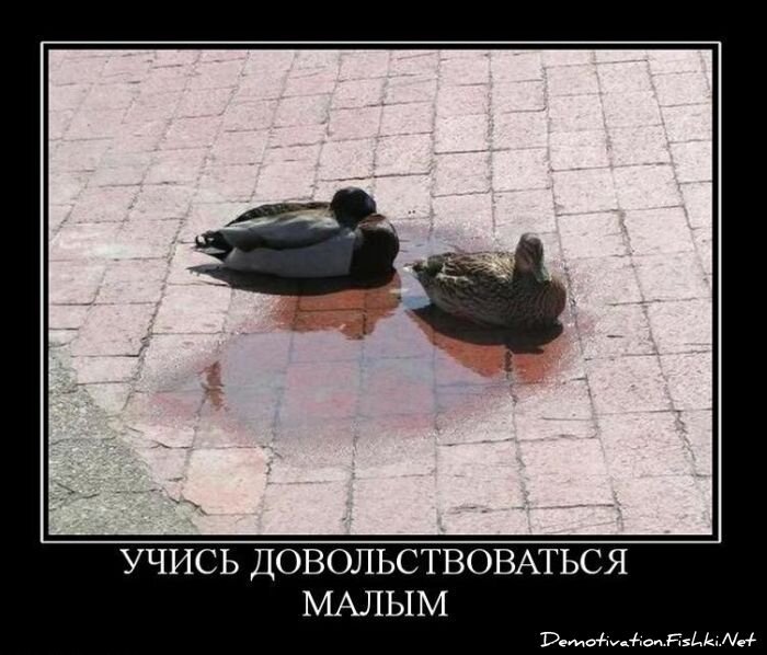 Смешной демотиватор от zubrilov за 11.03.2011 №70828