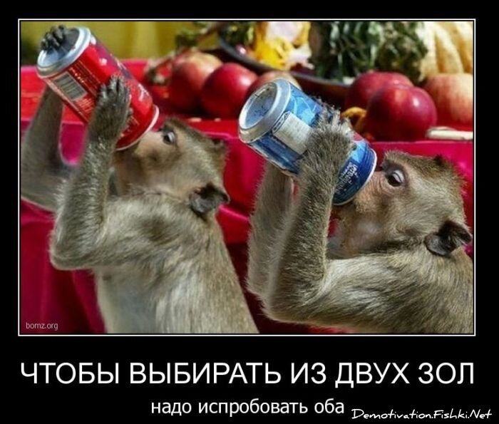 Смешной демотиватор от zubrilov за 11.03.2011 №70831