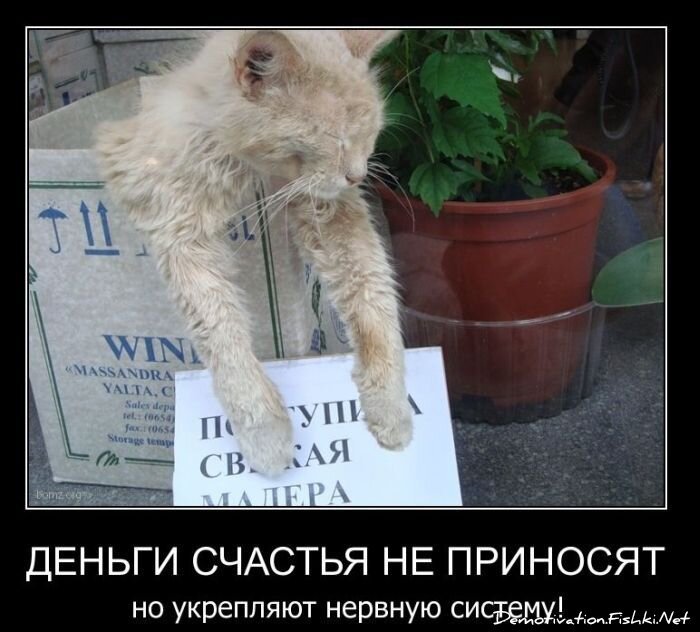 Демотиватор