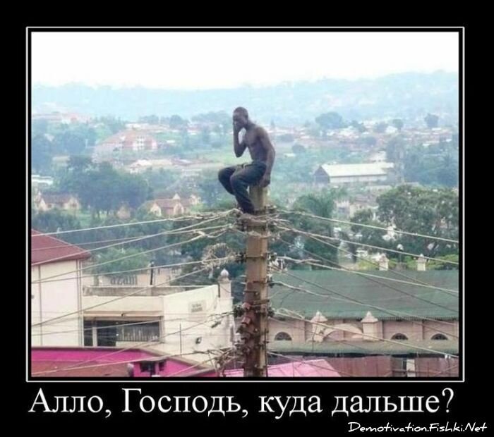 Демотиватор