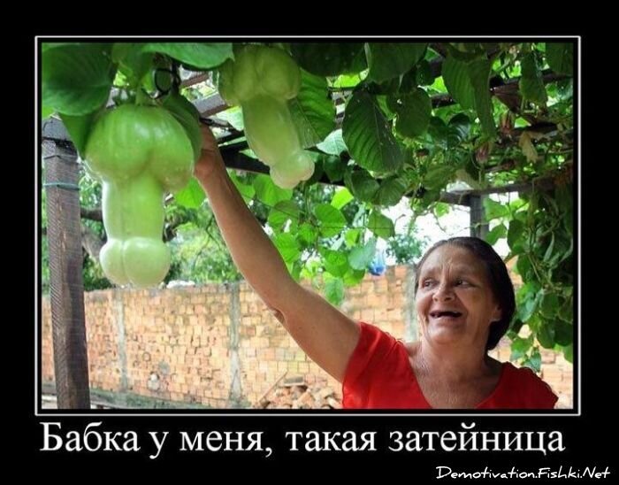 Смешной демотиватор от zubrilov за 11.03.2011 №70848