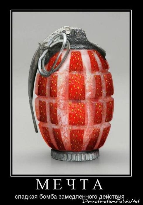 Смешной демотиватор от zubrilov за 11.03.2011 №70860