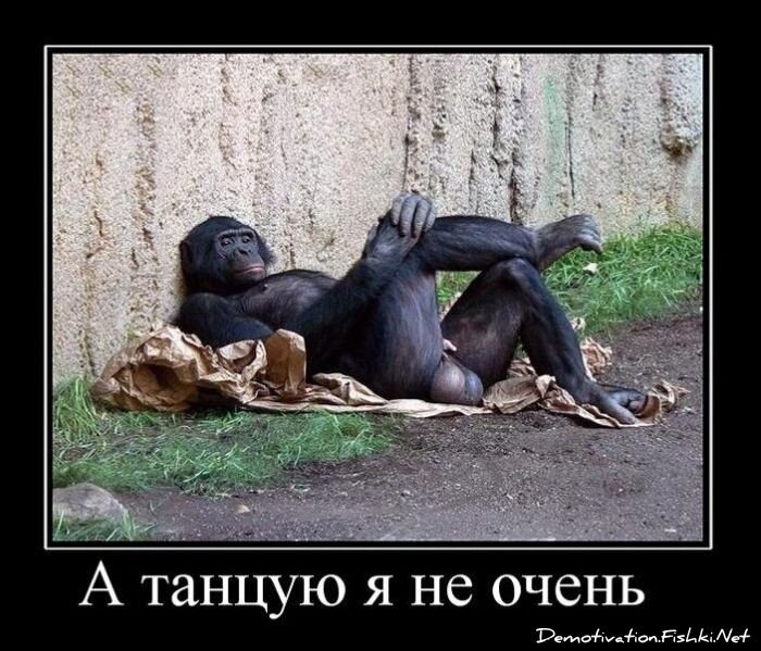 Смешной демотиватор от zubrilov за 11.03.2011 №70862