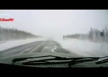 Подборка роликов