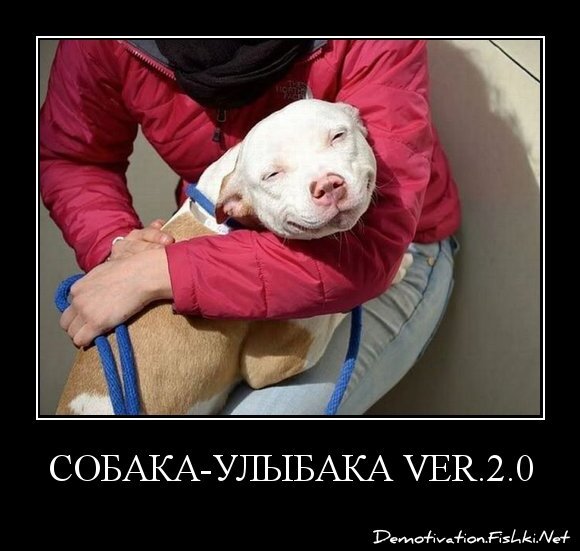 СОБАКА-УЛЫБАКА ver.2.0